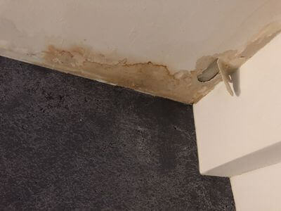 Professional mold remediation franklin tn services in Franklin